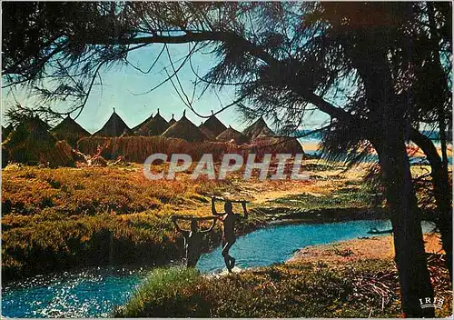 Moderne Karte Senegal Village Africain