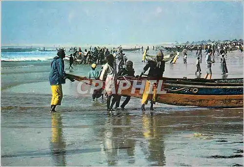 Cartes postales moderne Senegal Retour de peche a Cayar