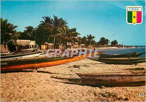 Cartes postales moderne Senegal Pirogues de peche