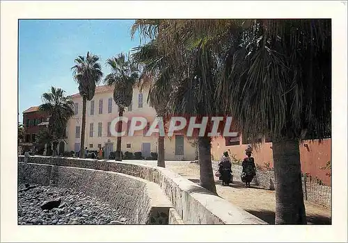 Cartes postales moderne Senegal