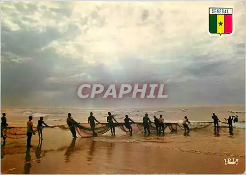 Cartes postales moderne Senegal Contre-jour scene de peche