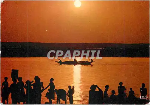 Cartes postales moderne Senegal Pirogues au bord du fleuve