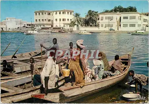 Cartes postales moderne Senegal Pirogues au bord de fleuve