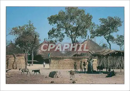 Cartes postales moderne Senegal