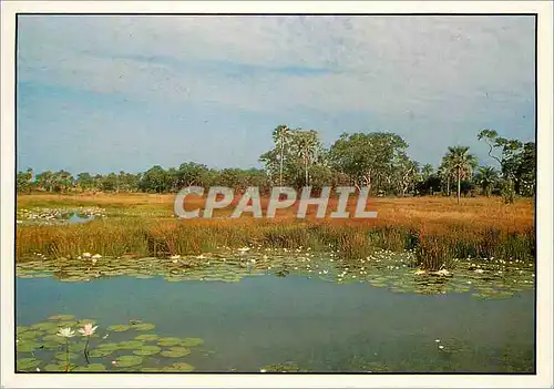 Moderne Karte Senegal Verte Casamance