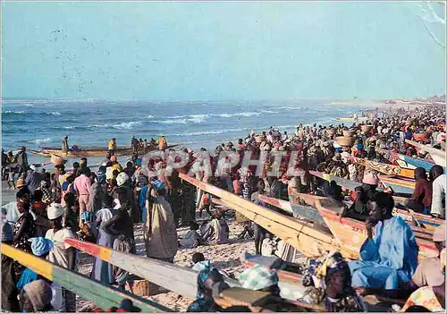 Cartes postales moderne Senegal Retour des pecheurs