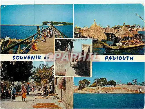 Cartes postales moderne Senegal Fadiouth