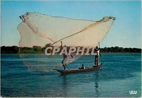 Cartes postales moderne Senegal Scene de peche