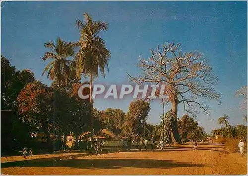 Moderne Karte Senegal Paysage de Casamance