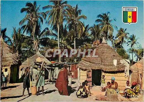 Cartes postales moderne Senegal Village de Casamance