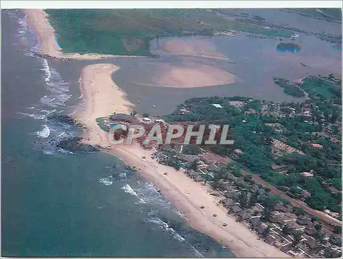 Cartes postales moderne Senegal La Somone Club du baobab