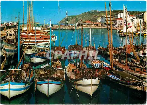 Cartes postales moderne Cattolica Le port