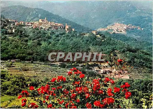 Cartes postales moderne Isola d'elba poggio et marciana et la vallee avec ses maisons