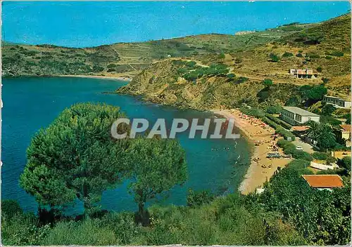 Cartes postales moderne Isola d'elba la spiaggia di pareti