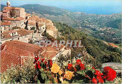 Moderne Karte Isola d'elba poggio et marciana marina