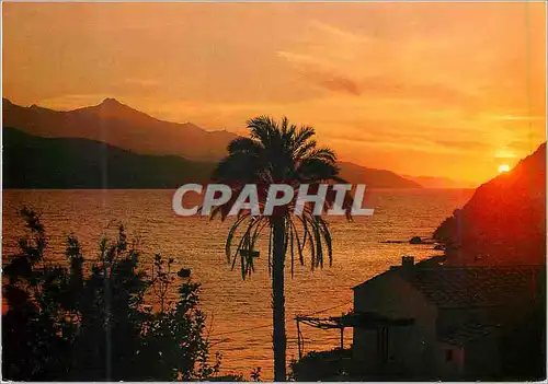 Cartes postales moderne Isola d'elba coucher du soleil localite ii forno