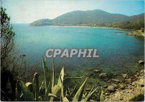 Cartes postales moderne Isola d'elba marina di campo calenzana