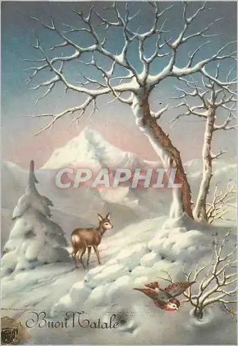 Cartes postales moderne Buon natale