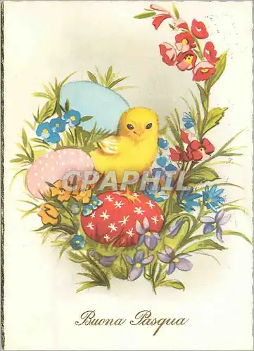 Cartes postales moderne Buona pasqua