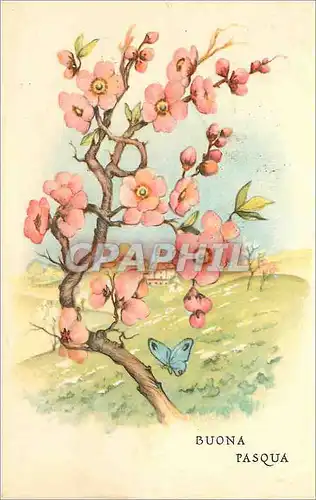 Cartes postales moderne Buona pasqua
