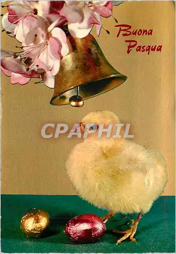 Cartes postales moderne Buon pasqua