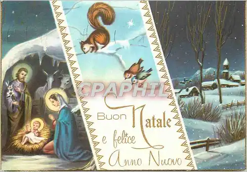 Cartes postales moderne Buon natale e felice anno nuovo Ecureuil