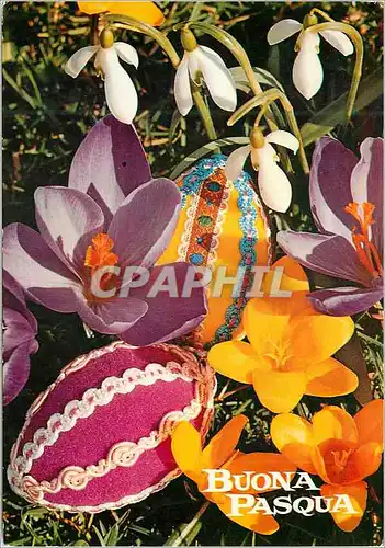 Cartes postales moderne Buona pasqua