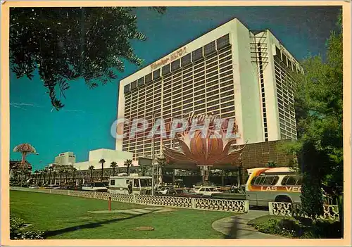 Cartes postales moderne Las vegas nevada flamingo hilton