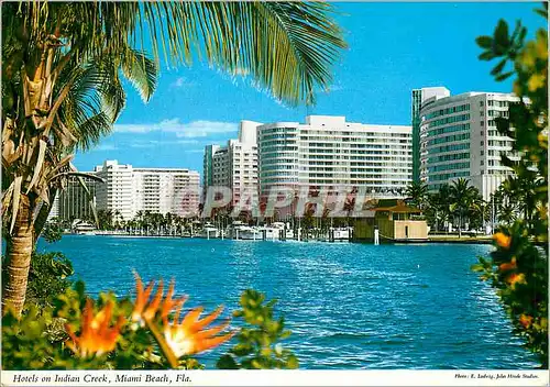 Cartes postales moderne Hotels on indian creeck Miami beach