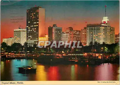 Cartes postales moderne Tropical miami florida