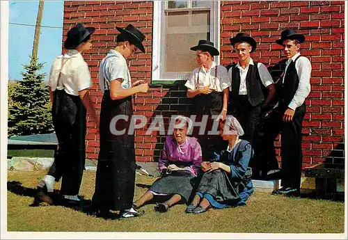 Cartes postales moderne Amish country a group of young aAmish country and girls