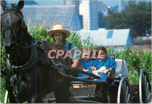 Cartes postales moderne Amish country an amish father and his two daughters riding in an amish courting or open buggy