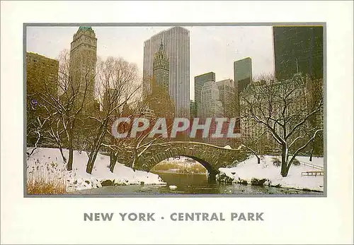 Moderne Karte New york city winter in cenral park