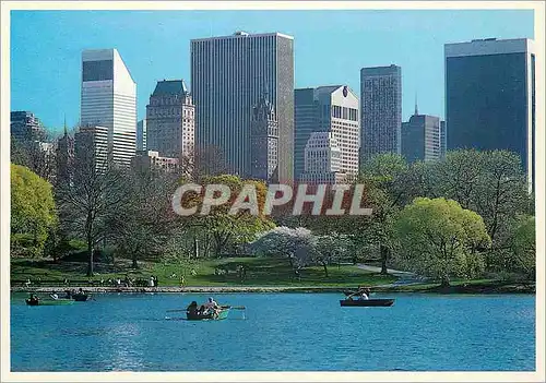 Cartes postales moderne Peaceful lake in central park with new york's midtown skyline in the background