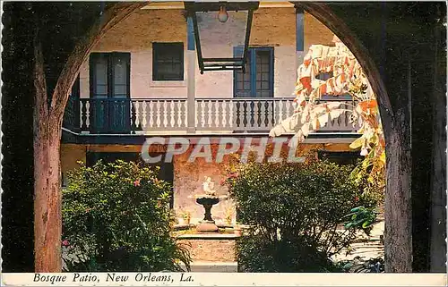 Cartes postales moderne New Orleans Bosque Patio