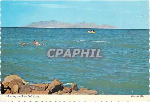 Cartes postales moderne Utah Swimmers in Great Salt Lake