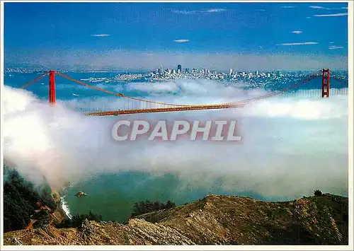 Cartes postales moderne San Diego Skyline in the Background