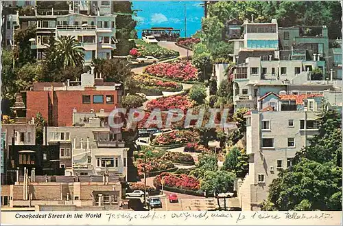 Cartes postales moderne San Francisco Lombard Street