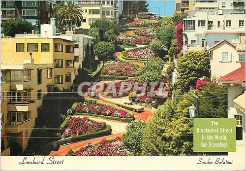 Cartes postales moderne San Francisco Lombard Street Sandor Balatoni