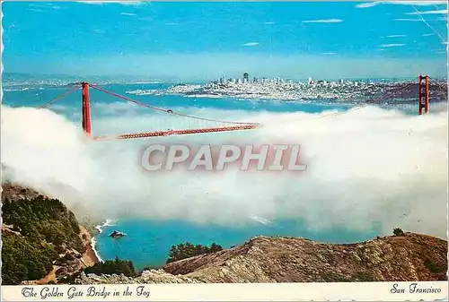 Cartes postales moderne San Francisco The Golden Gate Bridge in the Joy