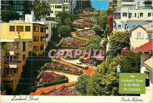 Cartes postales moderne San Francisco Lombard Street Sandor Balatoni