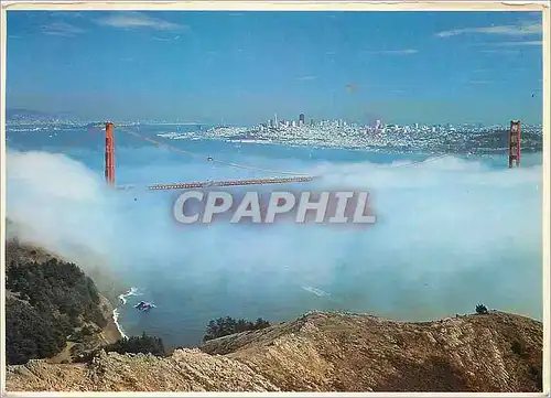 Cartes postales moderne San Francisco The Golden Gate Bridge in The Fog