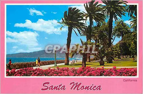 Cartes postales moderne Santa Monica California
