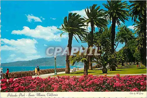Cartes postales moderne Santa Monica California
