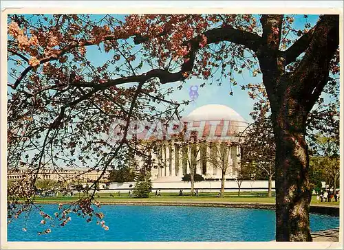 Cartes postales moderne Washington