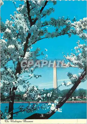 Cartes postales moderne The Washington Monument