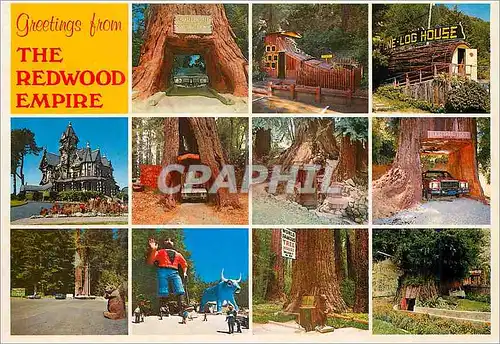 Cartes postales moderne The Redwood Empire