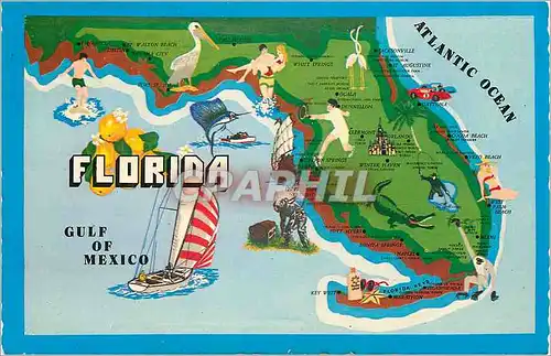 Cartes postales moderne Florida Crocodile Surf Bateau