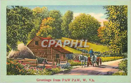 Cartes postales Paw Paw