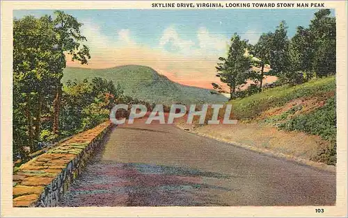 Cartes postales Skyline Drive Virginia Looking Toward Stony Man Peak